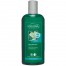 BLO-30477 Ginkgo regener�l� sampon, sz�raz-ig�nybevett hajra