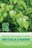 Betula-Charm