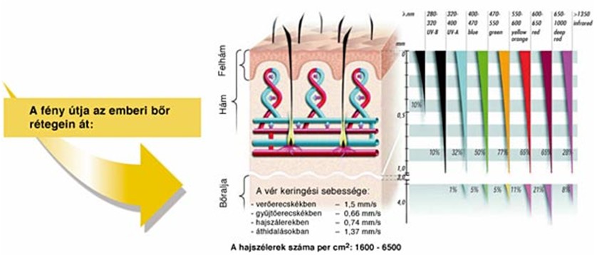 a cukorbetegség bioptron kezelése